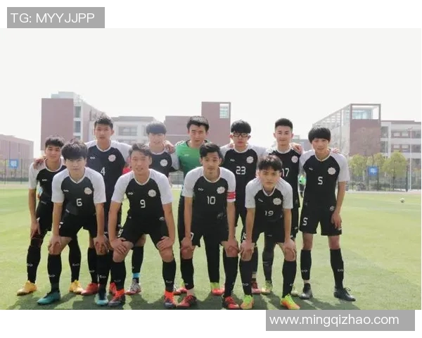 南京排球队的拼搏历程与荣耀时刻全景纪实