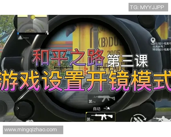 吴秀英的和平精英之路：从新手到高手的成长与挑战分享