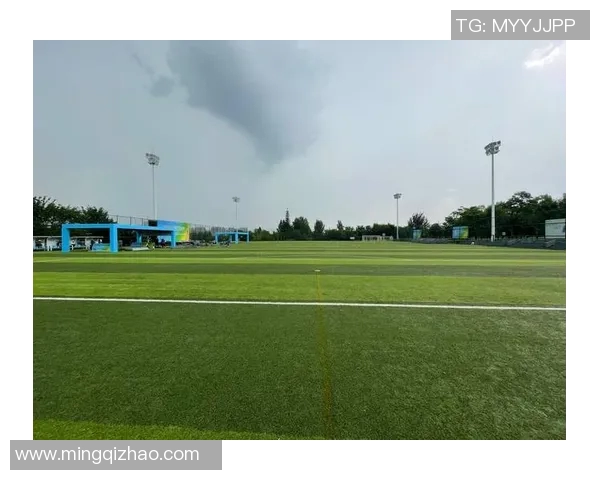 西安飞盘队强势领跑最新耐力排行榜前十名全解析 西安飞盘队强势领跑最新耐力排行榜前十名全解析