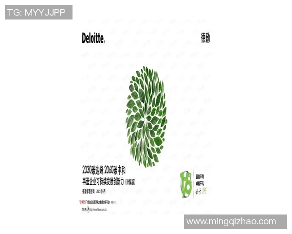 图库曼与和创的精彩对决解析及未来发展趋势探讨 图库曼与和创的精彩对决解析及未来发展趋势探讨