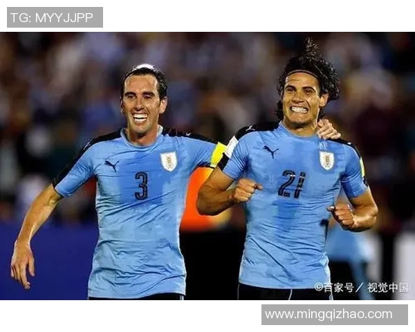 埃及与乌拉圭足球阵容对比分析揭示两队实力差异与战术特点