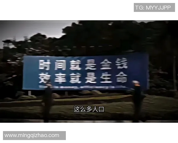 焦泊乔：在时代洪流中追寻自我与梦想的勇者之路