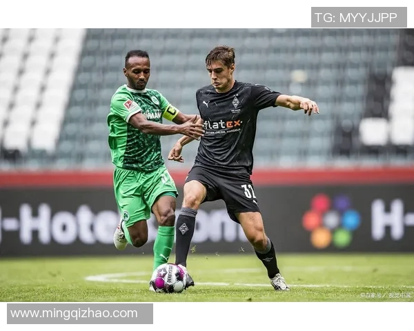 维迪斯与海牙今日对决期待精彩比赛揭晓胜负悬念