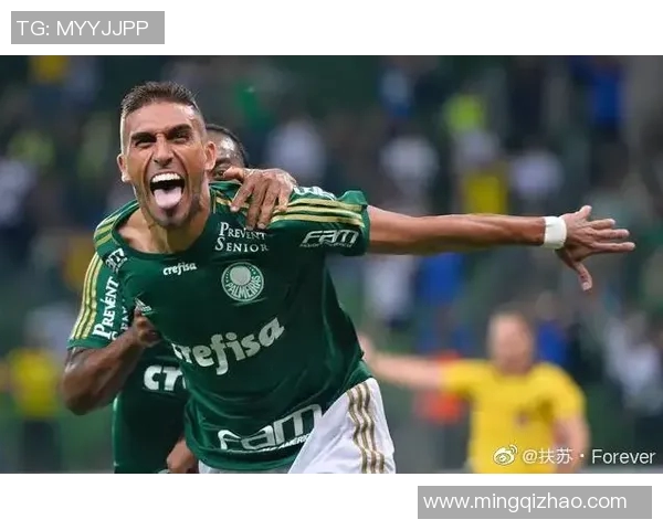 阿瓦伊与帕尔梅斯激战在即谁能在这场对决中笑到最后 阿瓦伊与帕尔梅斯激战在即谁能在这场对决中笑到最后