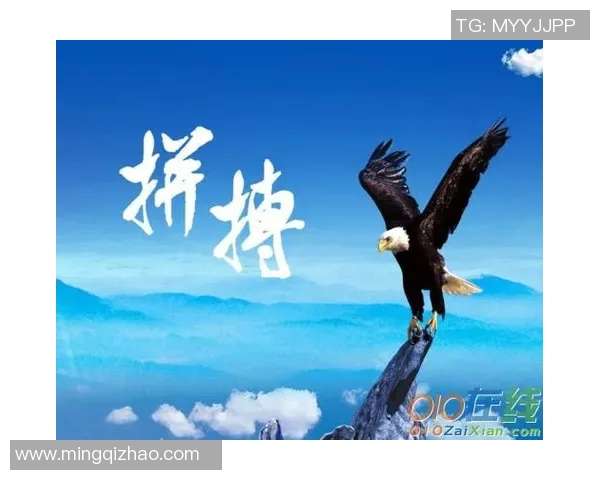 刘铮：从篮球场上的拼搏者到人生舞台上的奋斗者的精彩转变