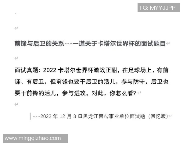 卡塔尔与捷克激战正酣比赛结果揭晓引发热议